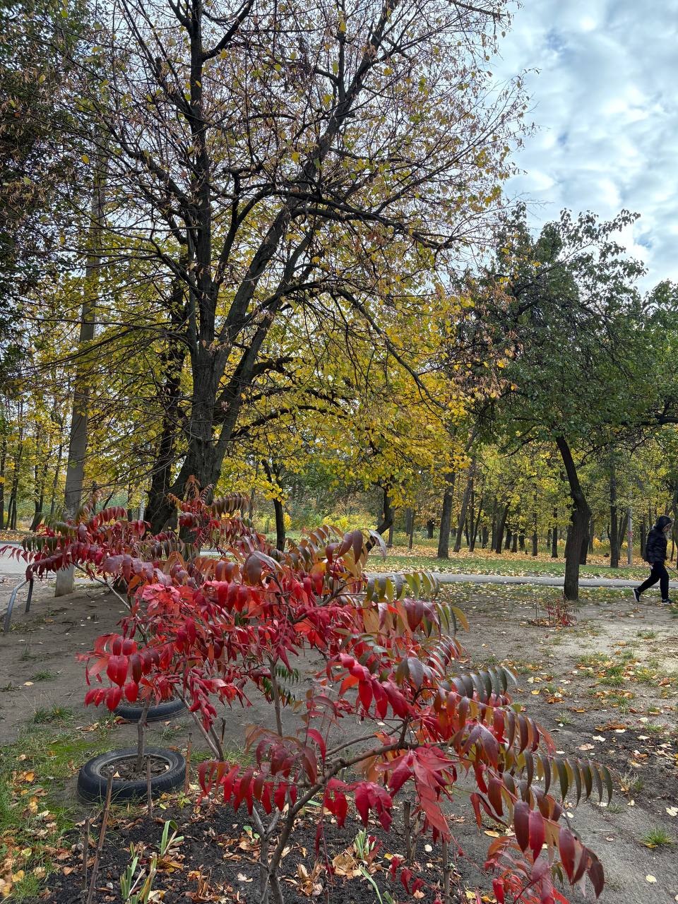 34 Каденюка,Харьковская область,1 Комната Комнат,1 ВаннаяВанных комнат,Житлова нерухомість,Каденюка,9,1305