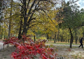 34 Каденюка,Харьковская область,1 Комната Комнат,1 ВаннаяВанных комнат,Житлова нерухомість,Каденюка,9,1305